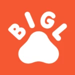 Logo of Bigl android Application 